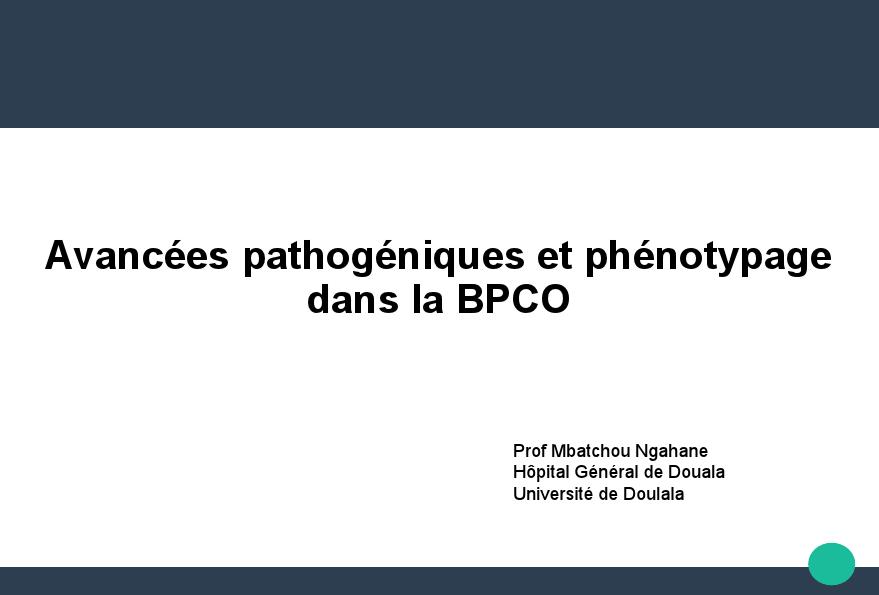 Avancées pathogéniques et phénotypage dans la BPCO. M. Ngahane