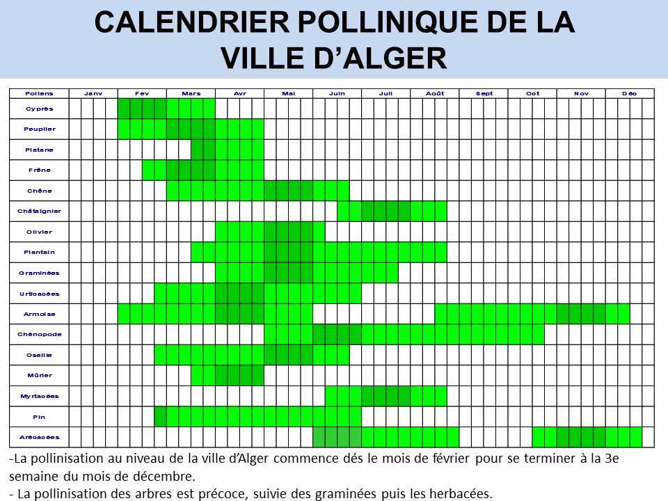 Le calendrier pollinique dans les pays méditérranéens. Merzak Gharnaout