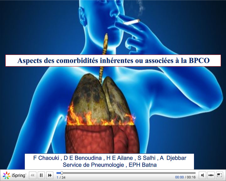 Aspects des comorbidités inhérentes ou associées à la BPCO. F. Chaouki