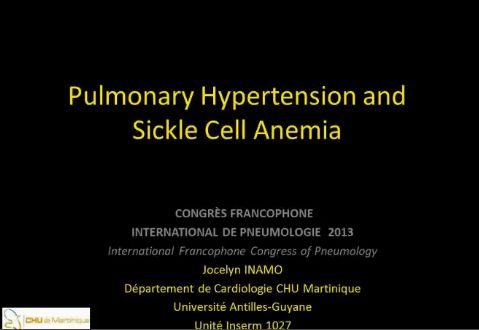 Hypertension artérielle pulmonaire et drépanocytose - Dr Jocelyn lnamo, Guadeloupe