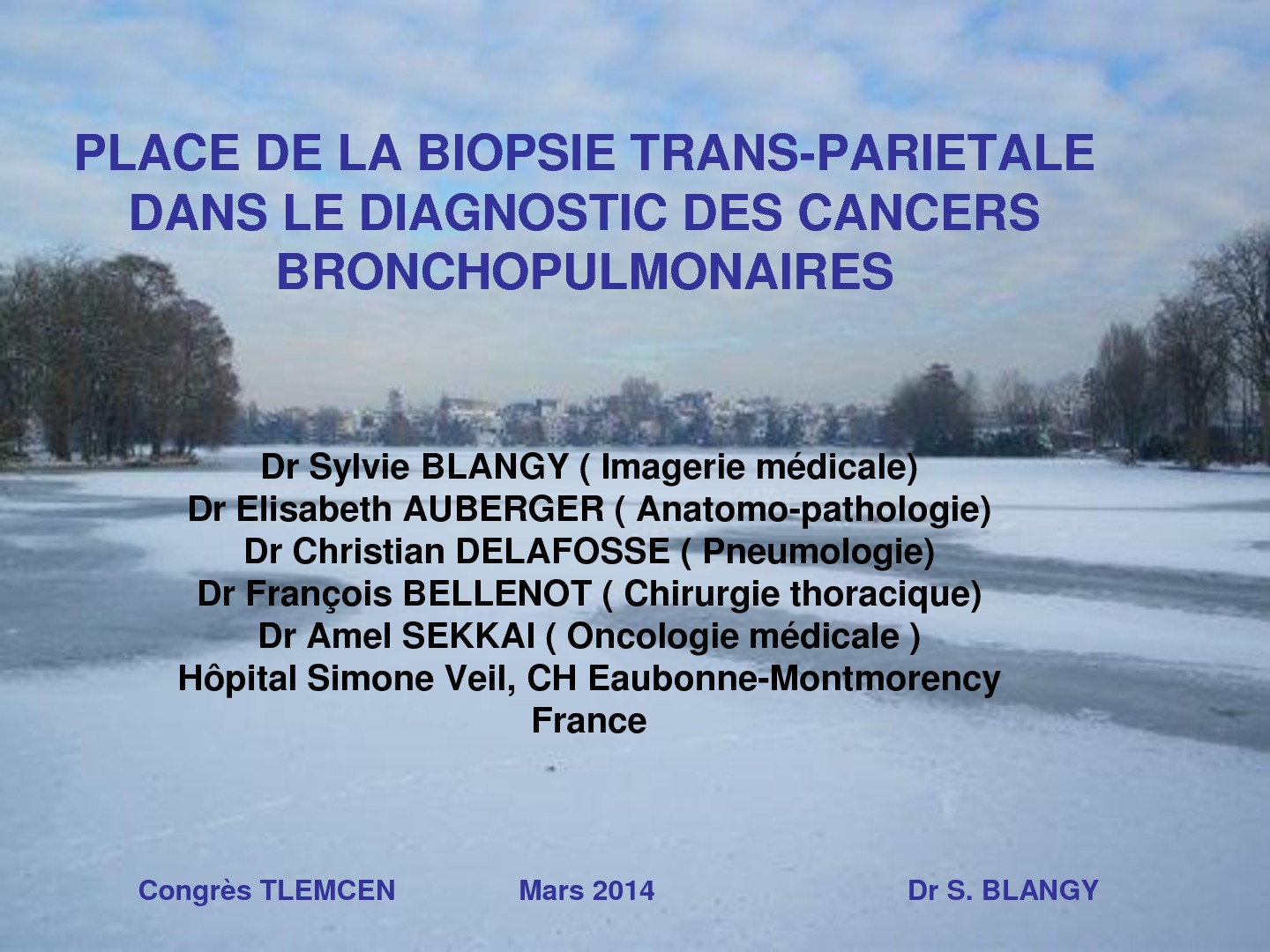 Place des biopsies transthoraciques dans le diagnostic des cancers bronchopulmonaires. S. BLANGY