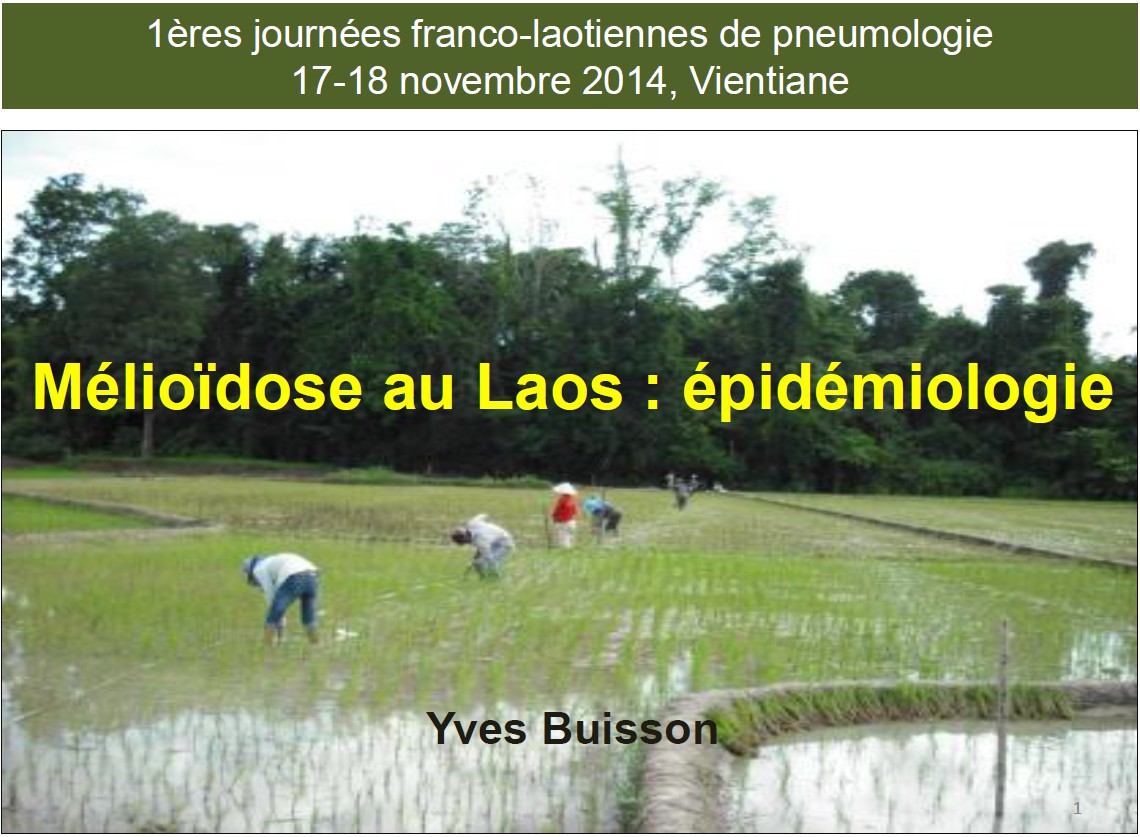 Mélioïdose au Laos. Epidémiologie. Yves Buisson
